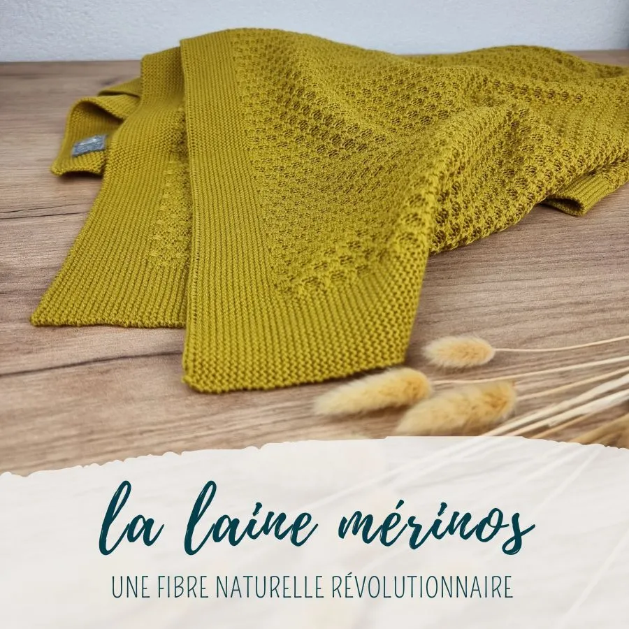 Laine Mérinos : une Fibre Naturelle Révolutionnaire | Alpes du Sud Mérinos